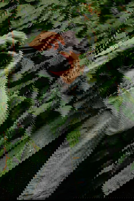 image of a photographer facing the camera while under leaves